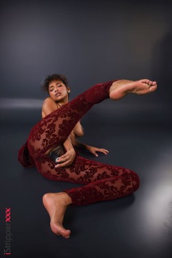 Barbie Rous - Hugged In Burgundy - 12